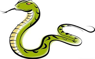 属蛇双子座A型血的人性格有什么特征