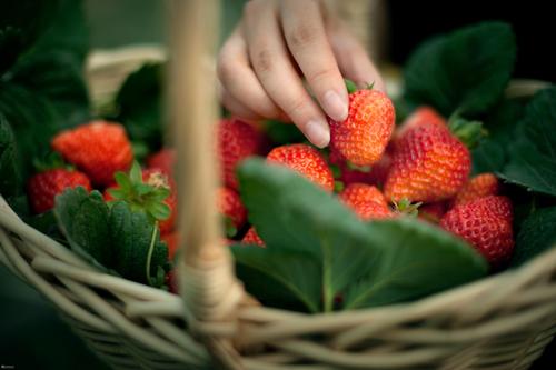 做梦偷摘草莓怎么回事 是好兆头吗