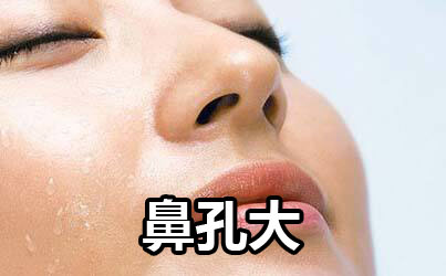 鼻孔大的人运势一般有什么说法