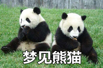 做梦梦到熊猫什么意思 是好兆头吗